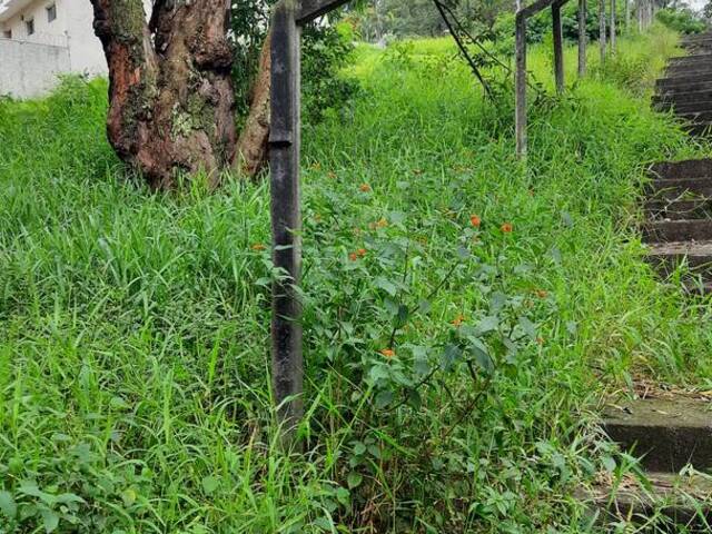 Área para Venda em São Paulo - 4